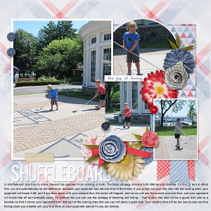 Shuffleboard 2017