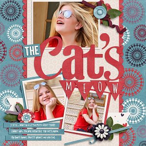 The Cat