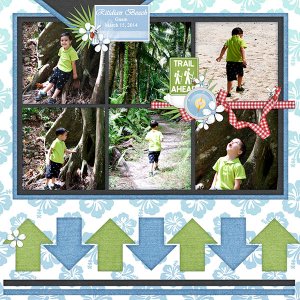 TB-1-Summer-Words-2-MF-Kits-Kim-C-Big-Blue-and-Camping