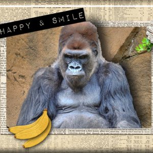 Be Happy and Smile