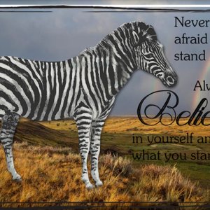 Believe