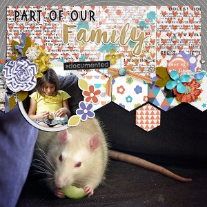 Part of our family