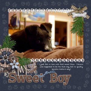 My Sweet Boy