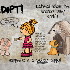 Adopt!