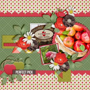A-Perfect-Pick