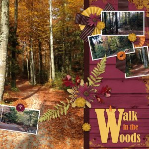 A Walk in the Woods