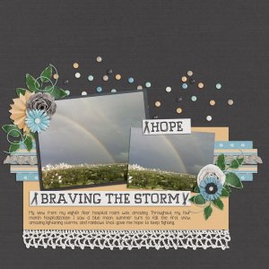 Braving The Storm