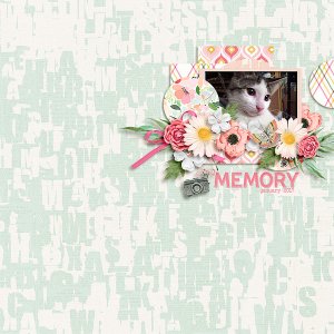 memory