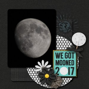 We got mooned 2017