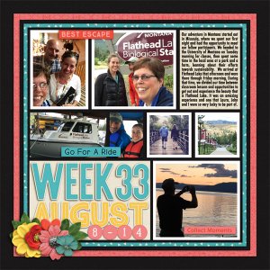 P52 Week 33 2016 L