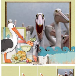 "Par-tee" Pelicans