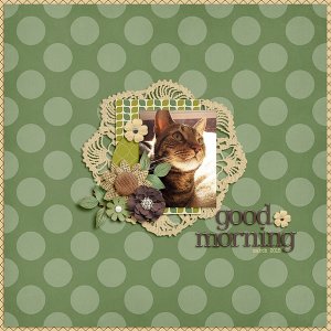 good morning