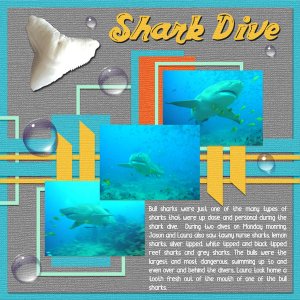Shark Dive