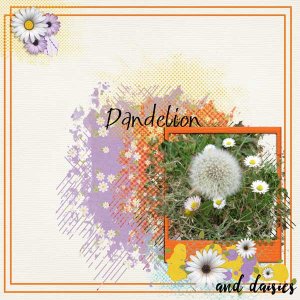 sandie03_ JMCD- Daisy Days 1