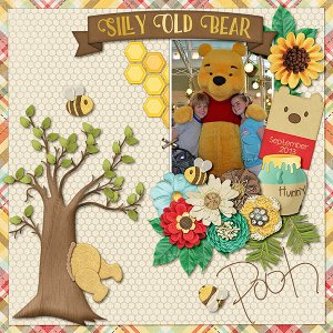 Silly Old Bear