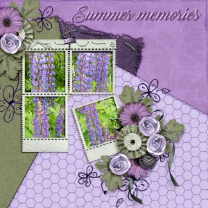 Summer-memories11