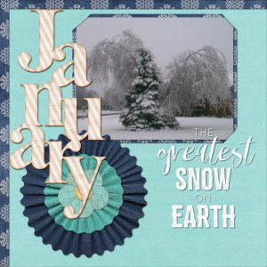 2017-01 Ice+Snow2 waw_snowdays