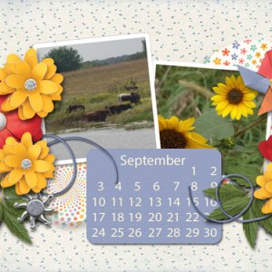 September