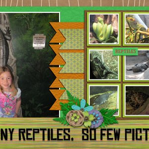 So many reptiles