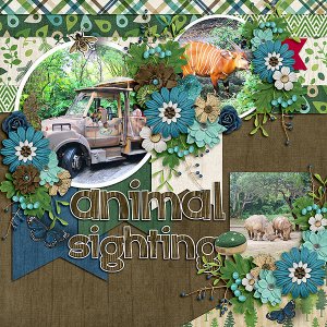 Animal Sighting