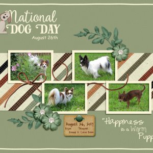 National Dog Day