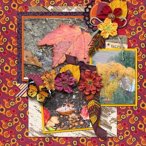 Colors of Fall