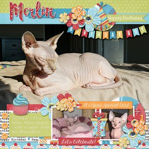 Birthday Boy