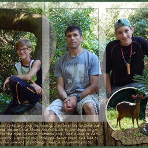 Forest walk 2