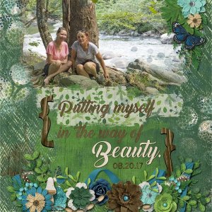 Putting myself in the way of Beauty