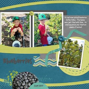 blueberries