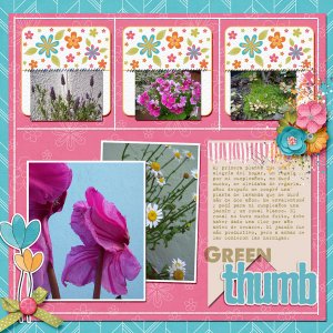 2017-08-Agosto-Color-Challenge