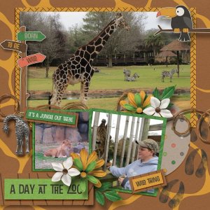 A Day at the Zoo