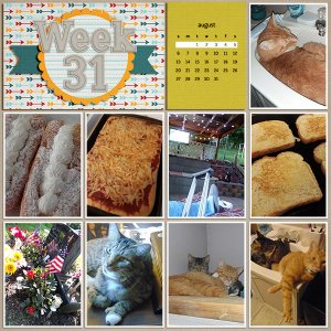Week 31