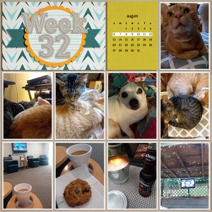 Week 32