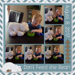 Bear