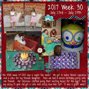 2017 Week 30