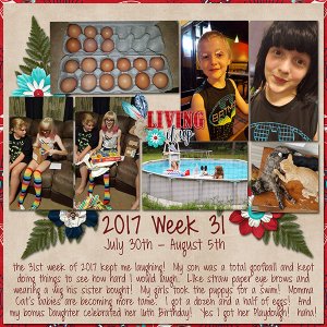2017 Week 31