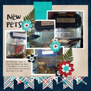 New Pets