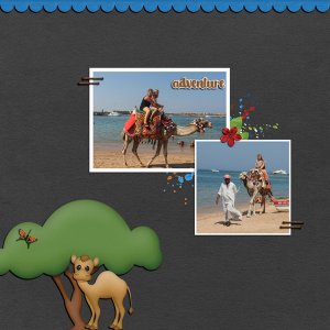 Camel