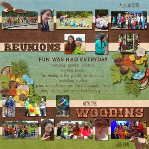 8-McKinley_reunion_2015_small