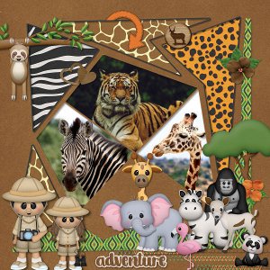 Safari Adventures