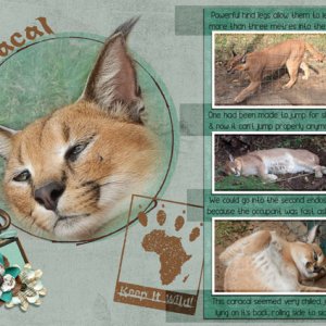 Caracal-S