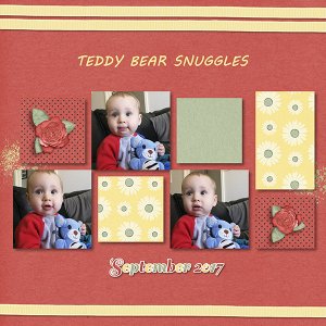 Teddy Bear Snuggles