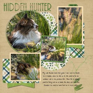 Hidden Hunter