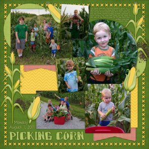 Corn