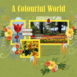 A Colourful World