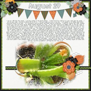 8-August_29_2017_small