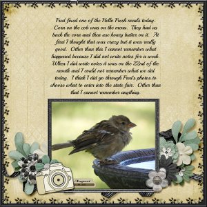 8-August_18_2017_small