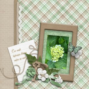 Hydrangea Bloom