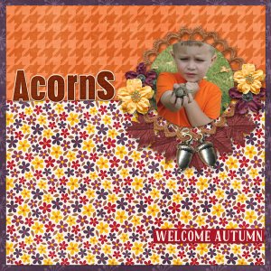 Acorns